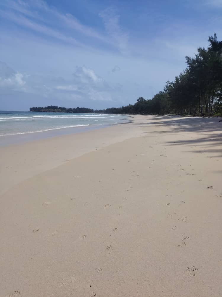 Beaches